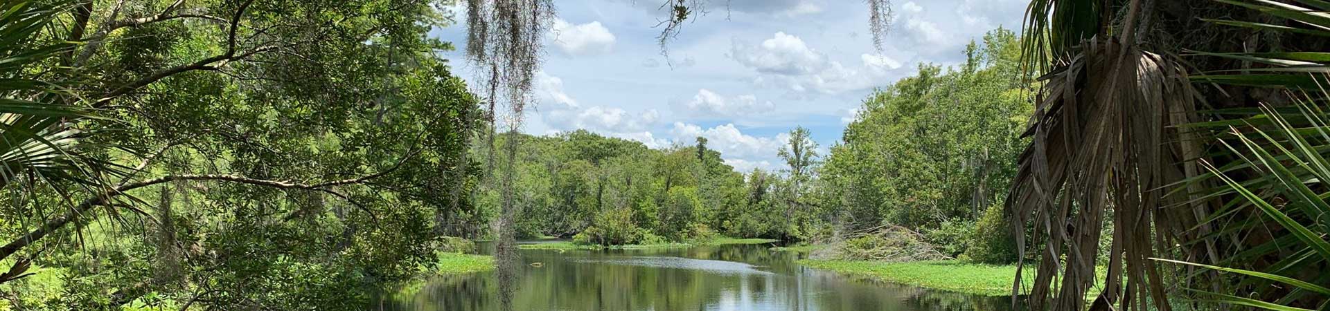 Artisan Lakes